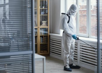 Haşerelerle Mücadelede Profesyonel İlaçlama Servislerinin Rolü