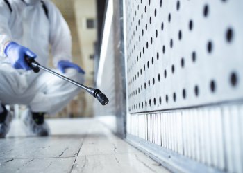 Hamam Böceği İlaçlama: Ne Zaman Profesyonel Yardım Almalısınız?