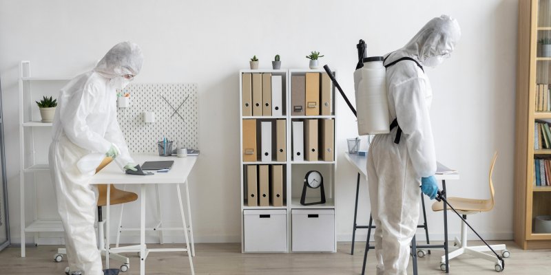 Tahta Kurusu İlaçlama