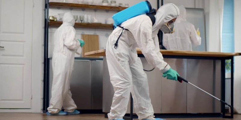 Restaurant - Cafe İlaçlama